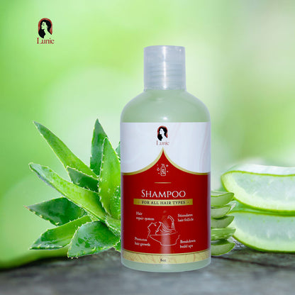 Shampoo